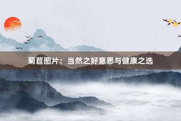 菊苣图片：当然之好意思与健康之选