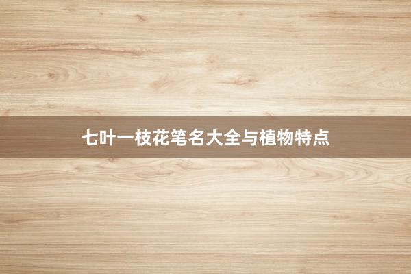 七叶一枝花笔名大全与植物特点