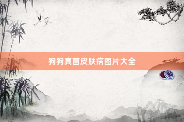 狗狗真菌皮肤病图片大全