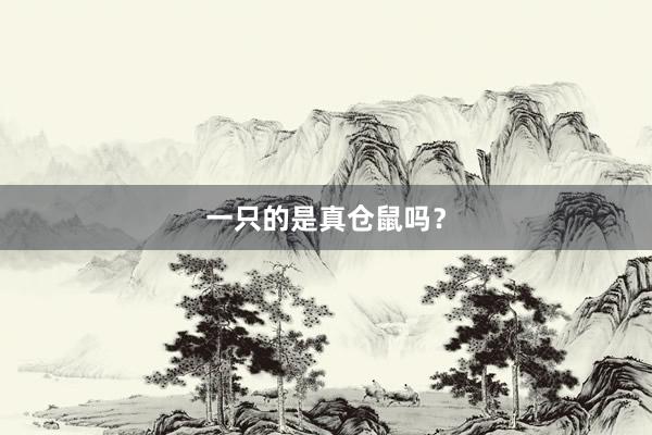 一只的是真仓鼠吗？