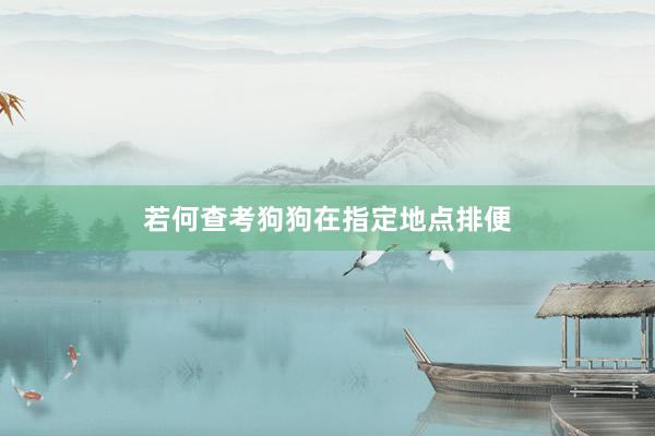 若何查考狗狗在指定地点排便