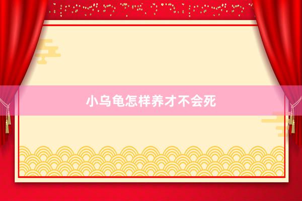 小乌龟怎样养才不会死